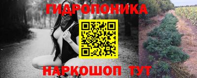 МДПВ Рузаевка