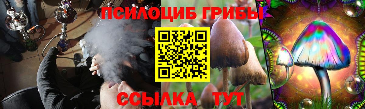 Псилоцибиновые грибы Cubensis  Вход с VPN  Орехово-Зуево 